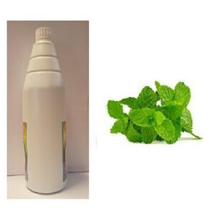 SCIROPPO MENTA CONC. X GRANITA DOSA & GUSTA 1KG