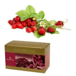 INFUSO FRAGOLA DI BOSCO (20PZ) - MANUEL