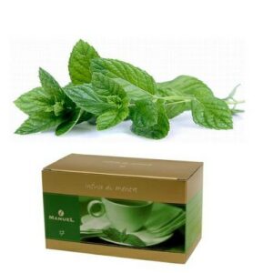 INFUSO MENTA (20PZ) - MANUEL