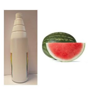 SCIROPPO ANGURIA CONC. X GRANITA DOSA & GUSTA 1KG